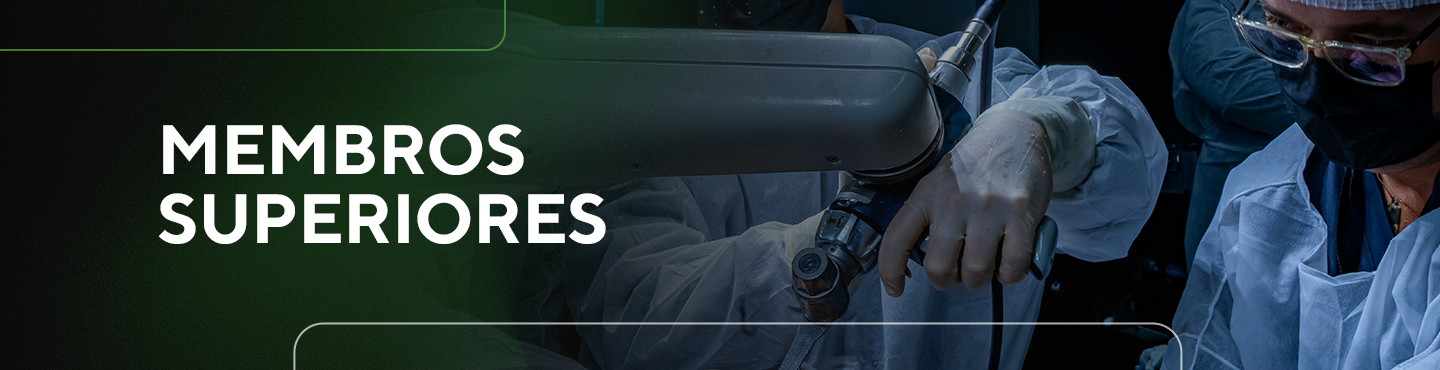 Membros Superiores