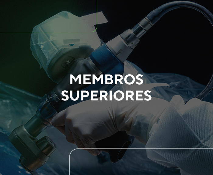 Membros Superiores